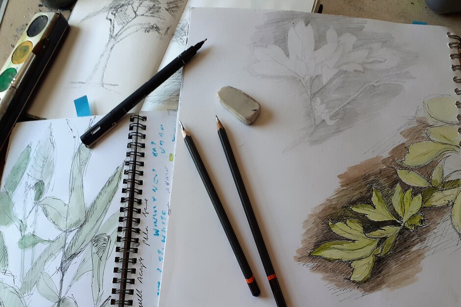 RHS Rosemoor drawing and painting day workshop art class course with Quay Drawing