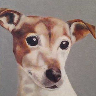 Dog by Nicola Quay Drawing