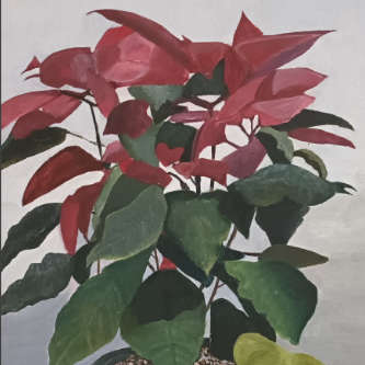 Poinasettia Plant still life by Annie