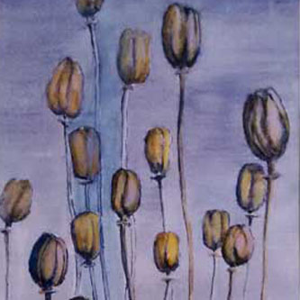 Seed Heads Still Life by Ruth Quay Drawing