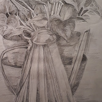 Sue's  still life plant and tea pot drawing sketch made at Cafe Collective Quay Drawing
