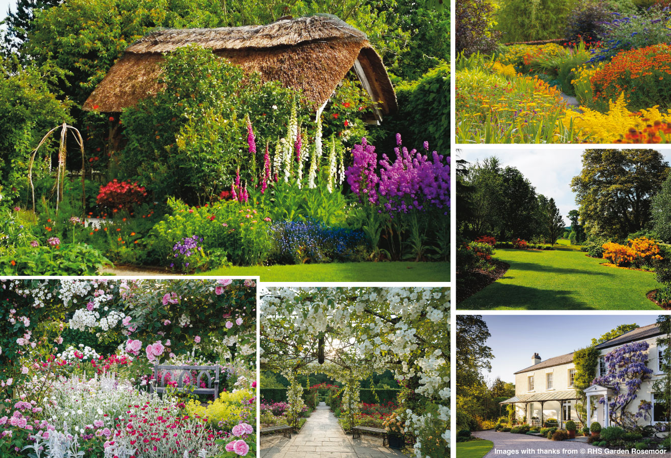 Photos of RHS Rosemoor, Torrington, Devon